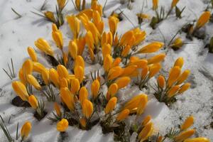 В Прикарпатье синоптики обещают потепление до +15 °С