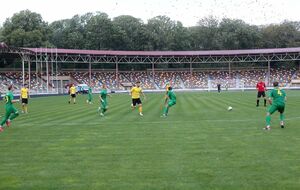 Стадіон у Тернополі перейменували на сесії міської ради 5 березня