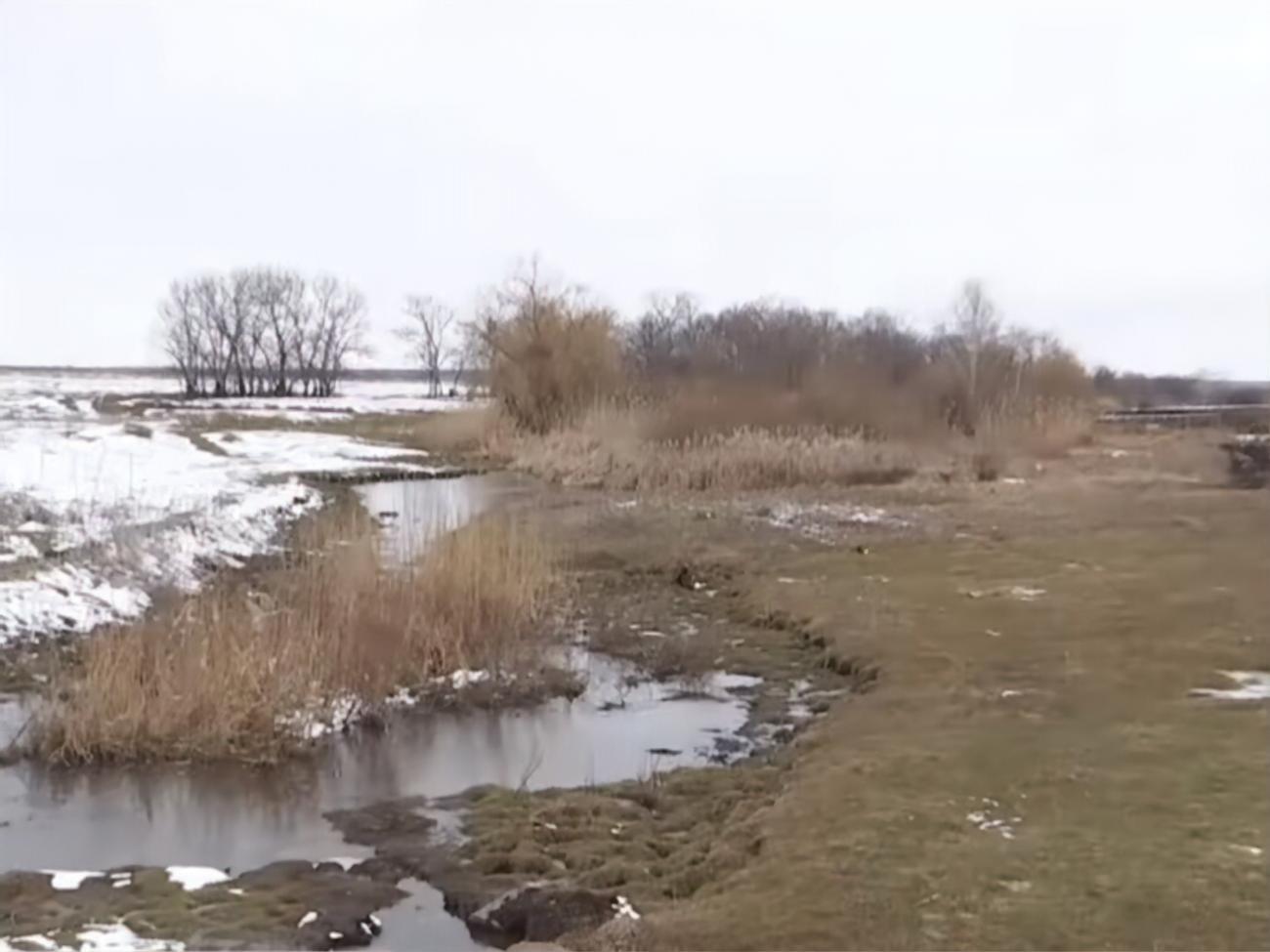 Тело малыша полицейские&nbsp;нашли в камышах