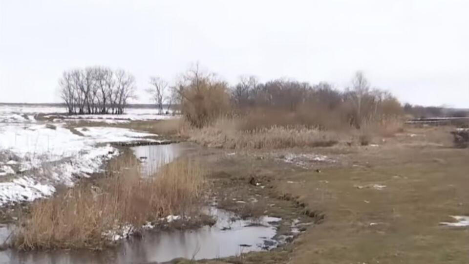 Тіло малюка поліцейські знайшли в очереті