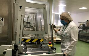 Цього року "Дарниця" проведе три сезони Facebook-екскурсій