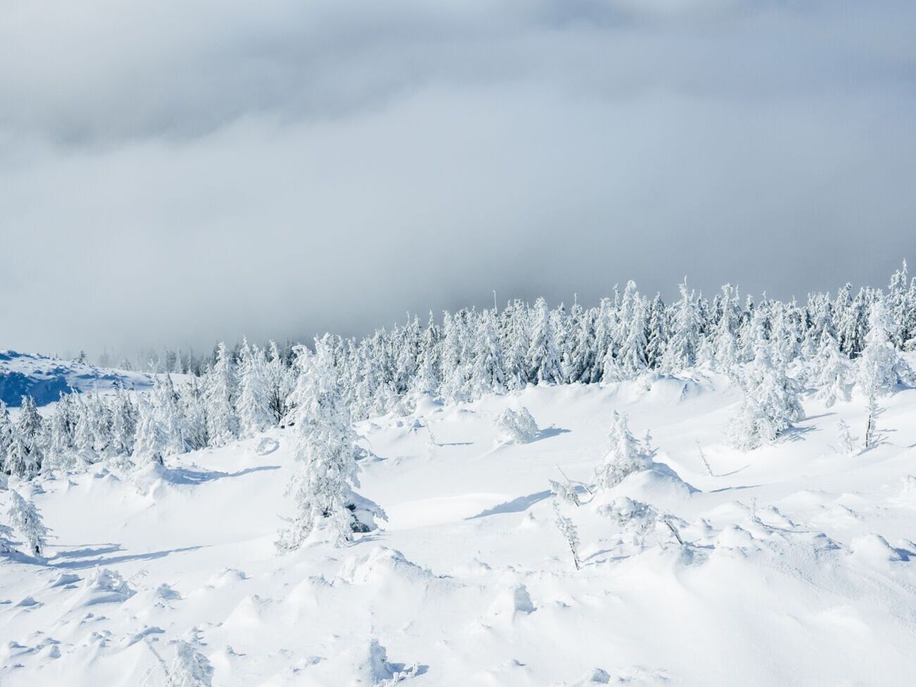 У Карпатах уночі можливий снігопад