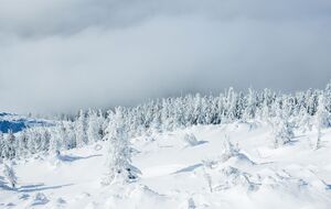 У Карпатах уночі можливий снігопад