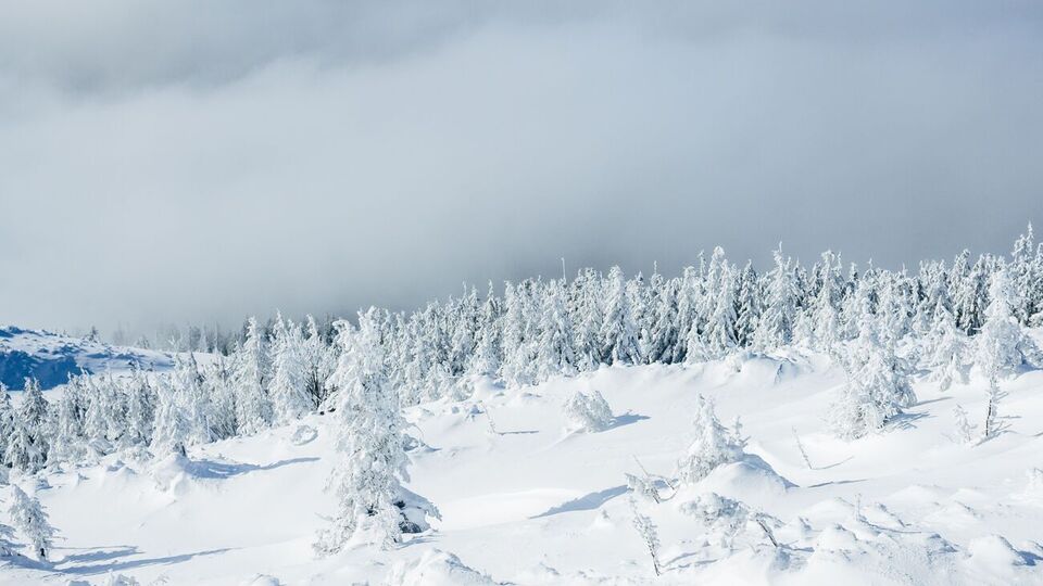 У Карпатах уночі можливий снігопад