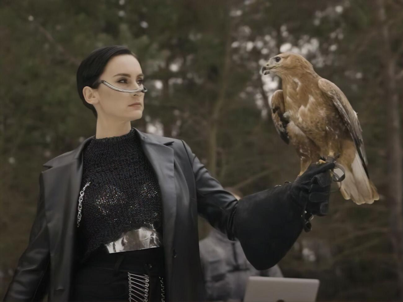 Зоозащитники утверждают, что птица, прилетающая на руку солистки группы Go-A в клипе на песню "Шум", редкого вида канюк степной