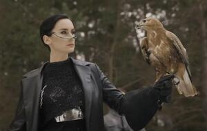 Зоозащитники утверждают, что птица, прилетающая на руку солистки группы Go-A в клипе на песню "Шум", редкого вида канюк степной