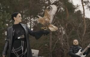 В группе подчеркивают, что никакого вреда и насилия птице во время съемок не причинили