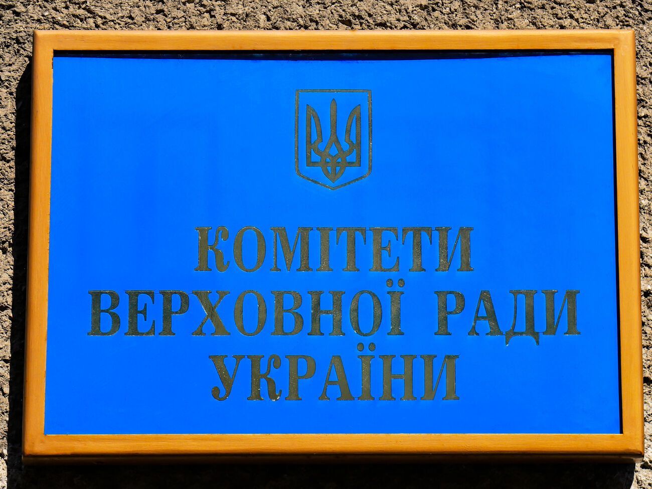 В организации призвали Раду разработать качественный и комплексный законопроект