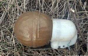 70-летний местный житель рассказал полиции, что дети нашли на спортплощадке под домом предмет, похожий на гранату