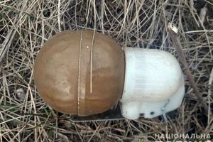 70-летний местный житель рассказал полиции, что дети нашли на спортплощадке под домом предмет, похожий на гранату