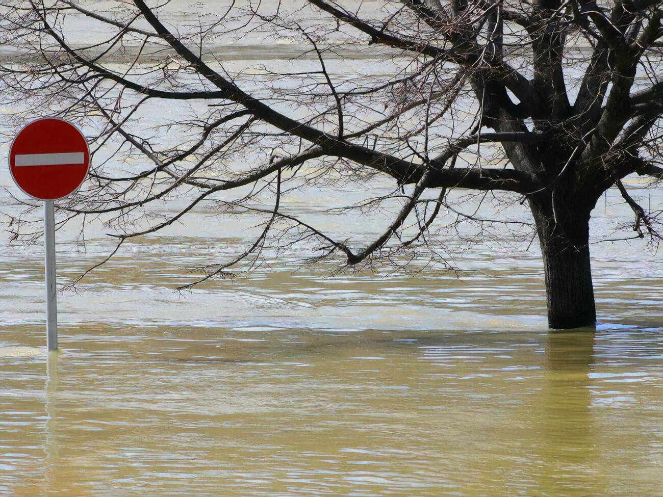 Возле Межиречья во Львовской области возможно частичное затопление отдельных объектов