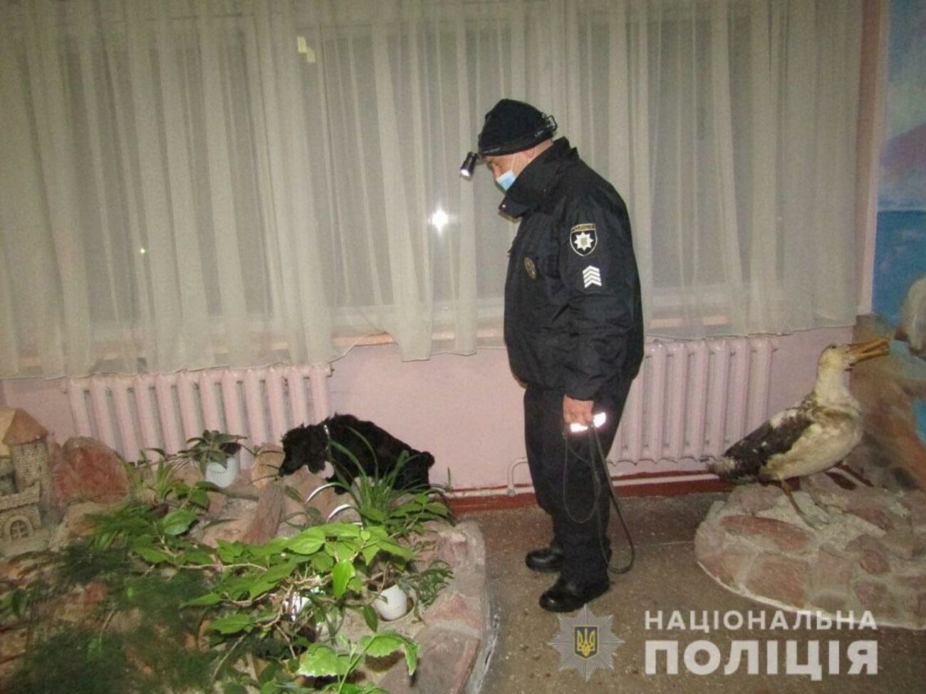 Поліція після дзвінка обстежила школу і прилеглу територію