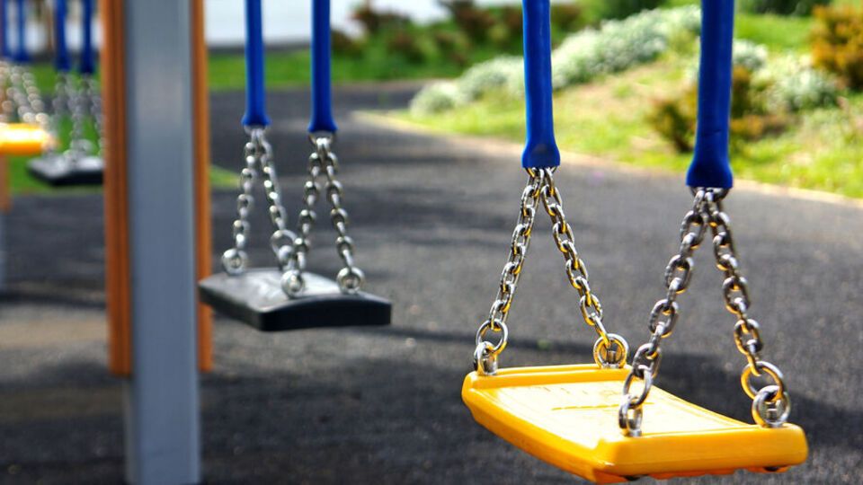 Поліцейські затримали зловмисника на місці інциденту