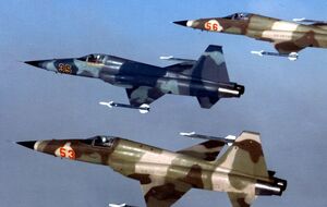Винищувачі F-5Е експлуатують із 1964 року