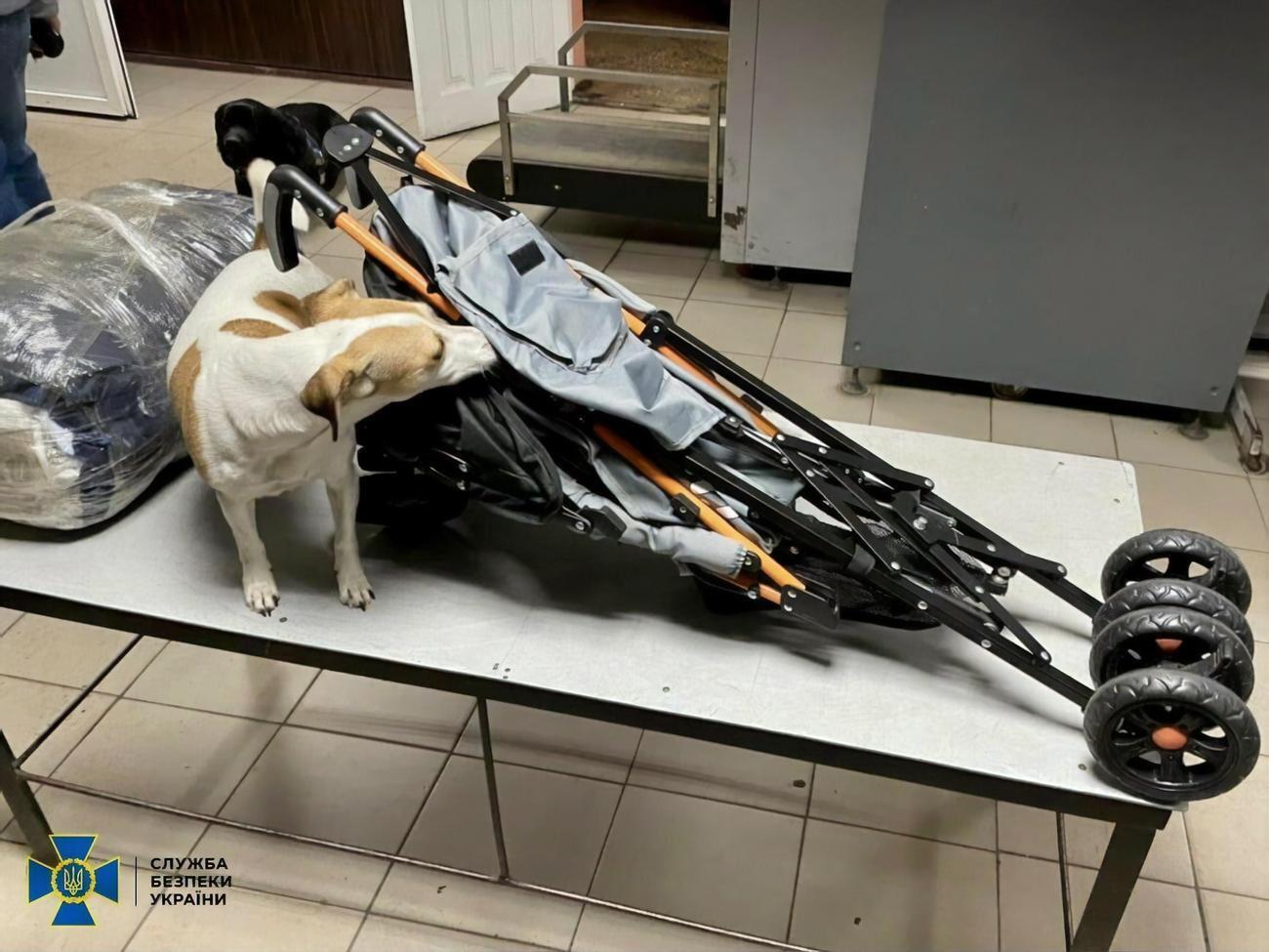 СБУ задокументировала 12 эпизодов контрабанды наркотиков в ОРДЛО