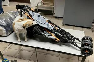 СБУ задокументировала 12 эпизодов контрабанды наркотиков в ОРДЛО