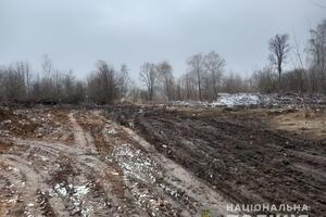 Серед сміття виявили маски, халати, рукавички, упаковки від таблеток та інших препаратів