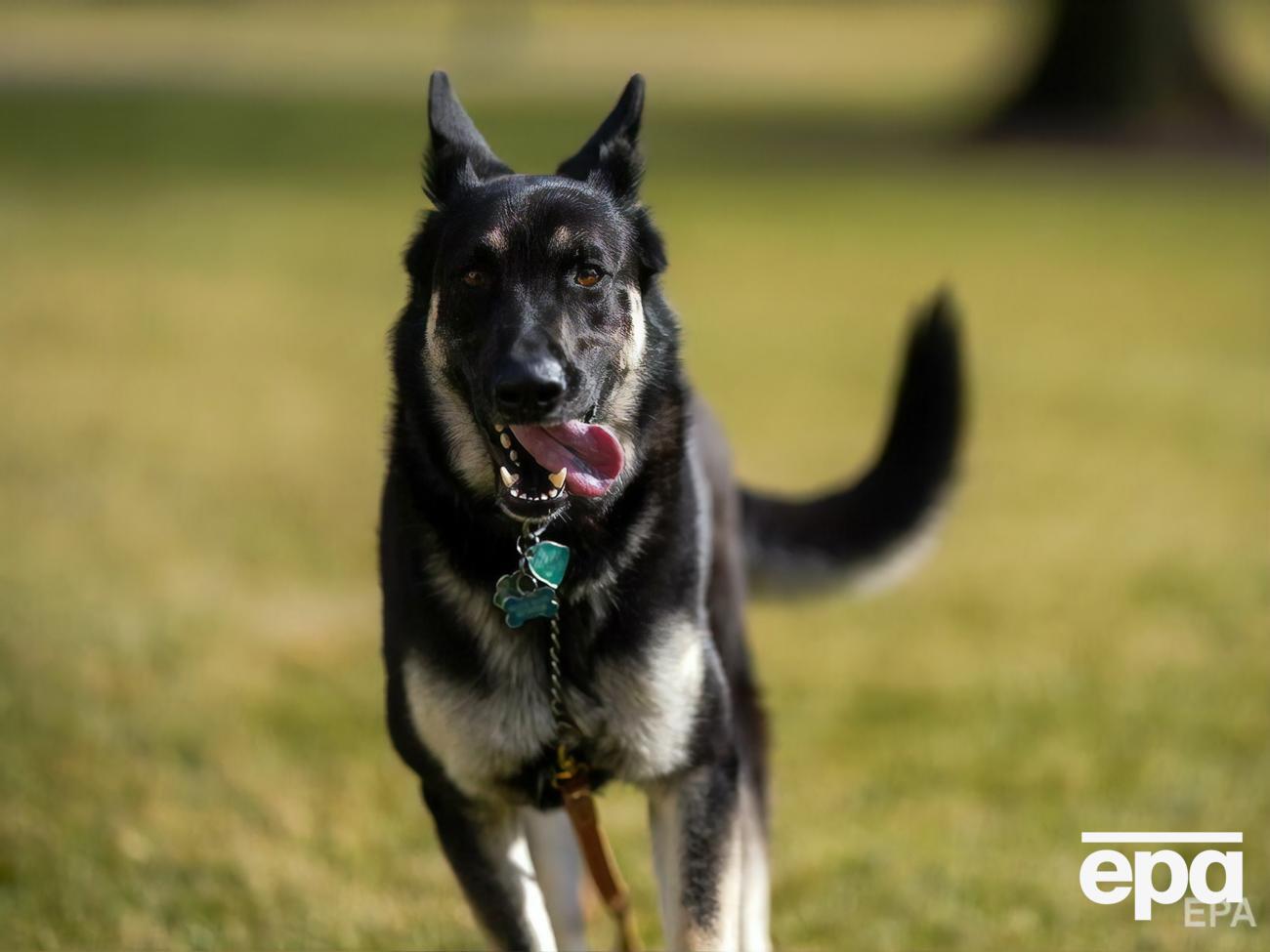 Мейджор повернувся до господарів