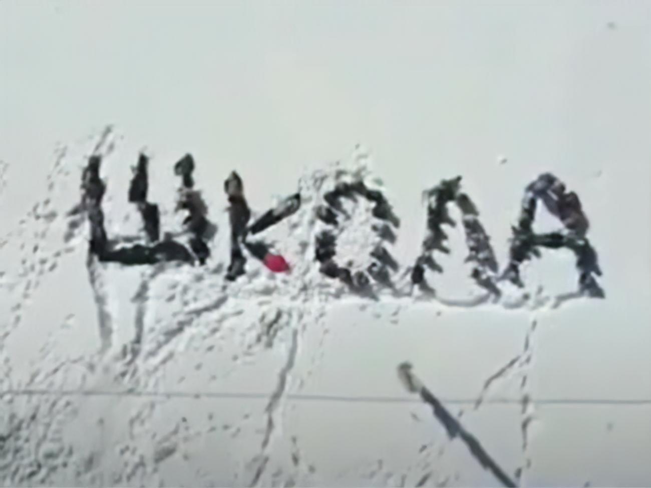 Прокуратура начала проверку в отношении организаторов акции