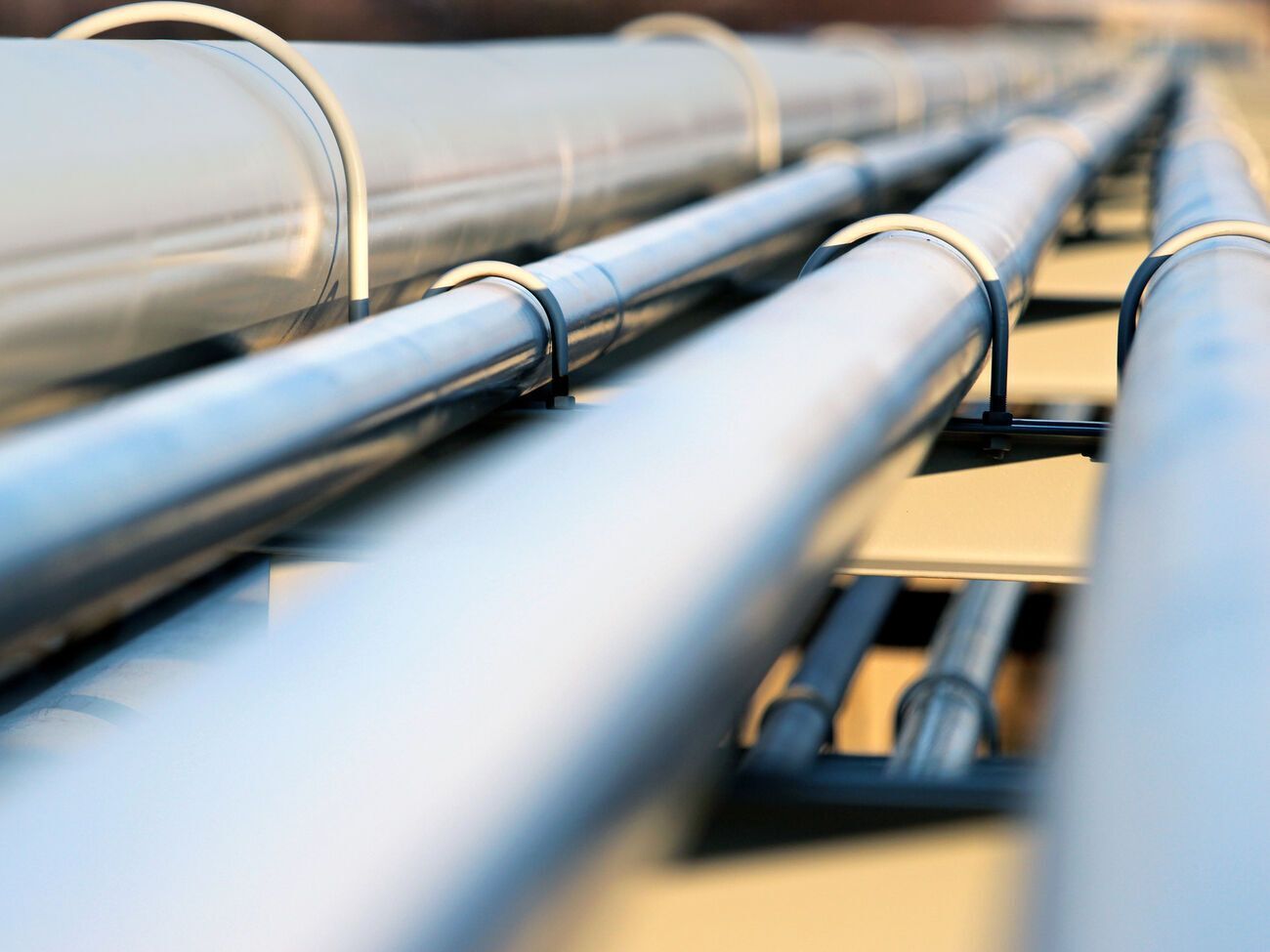 У участников конкурса должна быть лицензия на транспортировку нефти по магистральным трубопроводам и не менее пяти лет опыта