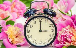 Стрелки часов необходимо перевести на час вперед