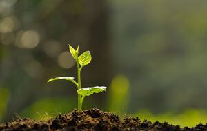 Составляя топ-25, авторы стремились подчеркнуть достигнутые позитивные результаты компаний