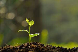 Складаючи список 25 найкращих екологічних програм, автори прагнули підкреслити досягнуті позитивні результати компаній