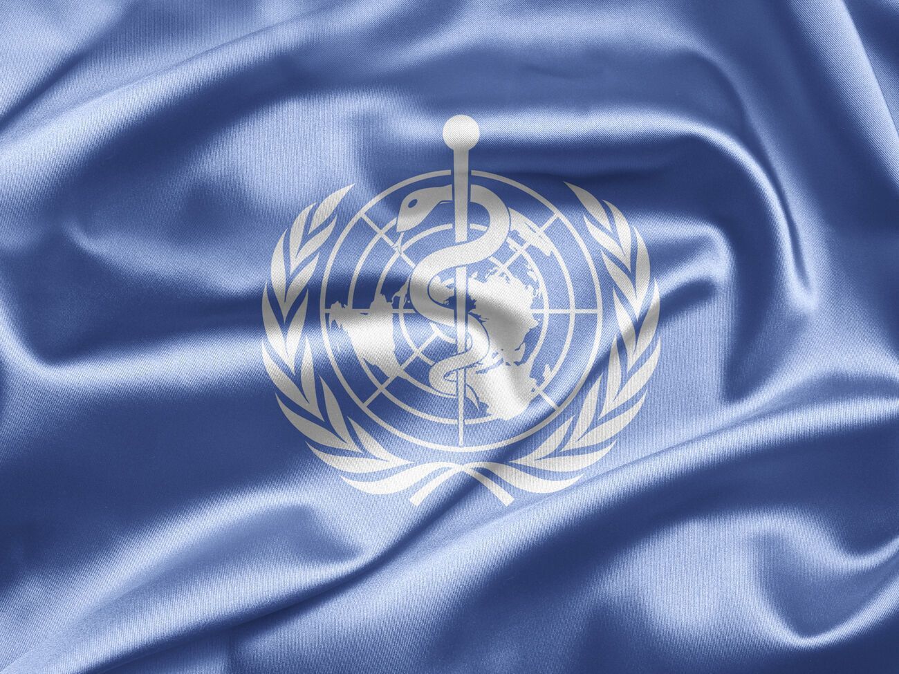 "Цей звіт&nbsp;&ndash; дуже важливий початок, але ще не кінець", &ndash; заявив глава ВООЗ