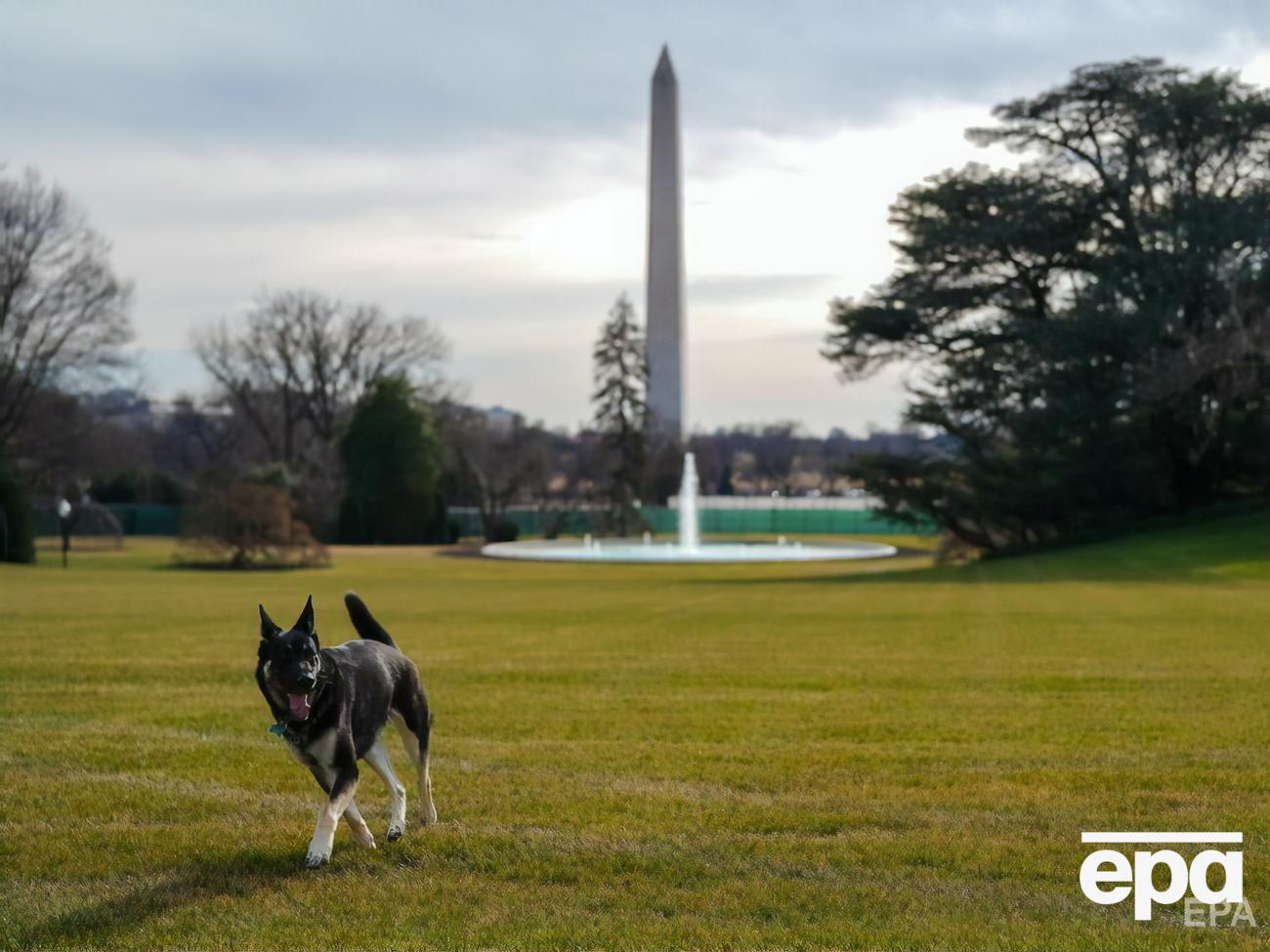 Мейджор еще не привык к новому окружению
