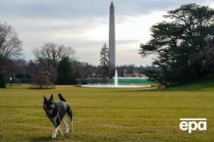 Мейджор ще не звик до нового оточення