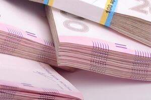 Українцям виплачували одноразову допомогу в розмірі 8 тис. грн під час "карантину зимових канікул"