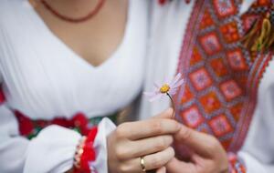 Україна опинилася на 74-му місці в рейтингу гендерної рівності серед 156 країн