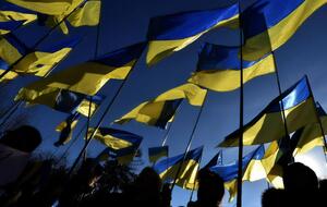 Freedom House признала в целом честными выборы шестого президента Украины