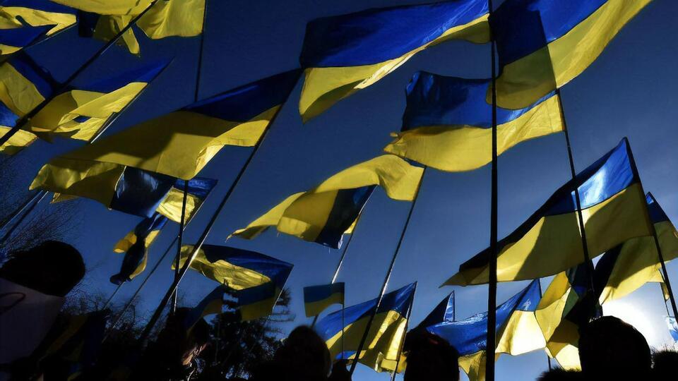 Freedom House признала в целом честными выборы шестого президента Украины