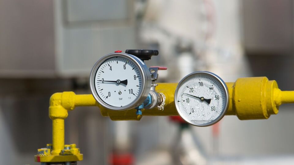 В партии назвали рынок газа в Украине имитацией