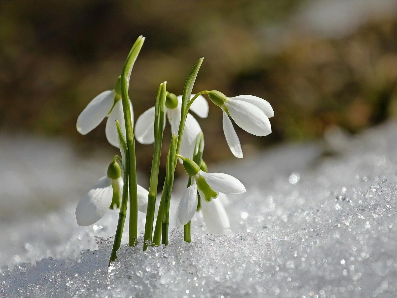 В выходные прогнозируют погоду без существенных осадков