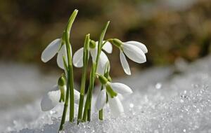 У вихідні прогнозують погоду без істотних опадів