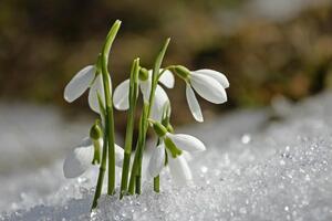 У вихідні прогнозують погоду без істотних опадів