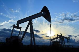 Ціна еталонної марки нафти Brent 5 березня зросла на 4,2%