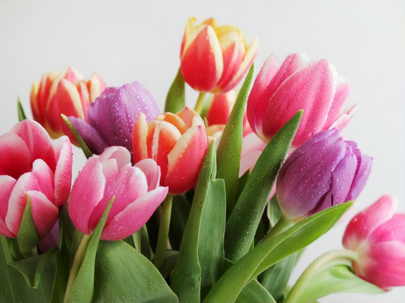 8 марта отмечают Международный женский день