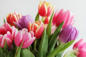 8 березня святкують Міжнародний жіночий день