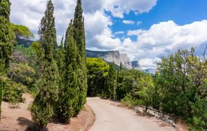 Форосский парк был заложен в 1834 году, он имеет статус памятника садово-парковой архитектуры