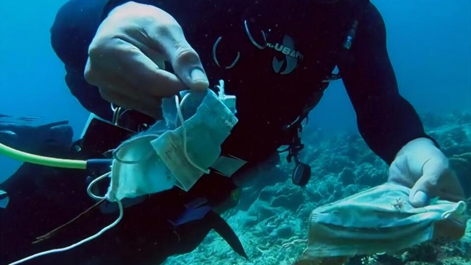 Экологи предупреждают, что пластик внутри масок разрушается и его едят морские животные