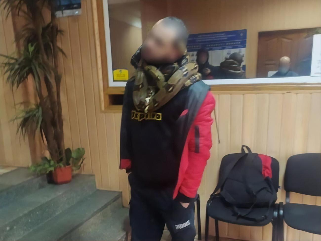 Змії поводилися неспокійно