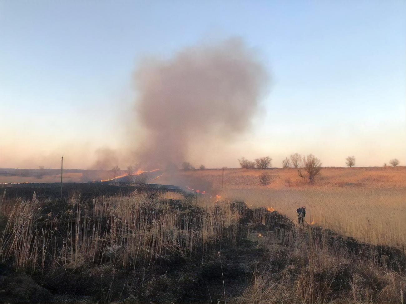 Протягом доби у Львівській області виникло понад 120 загорянь сухої трави