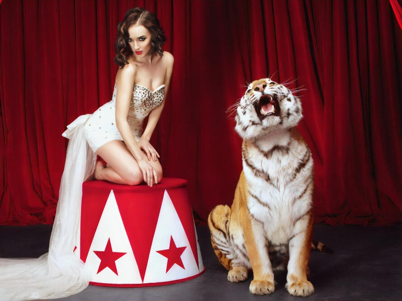 Современные цирки с ареной строятся в разных странах мира по определенным стандартам