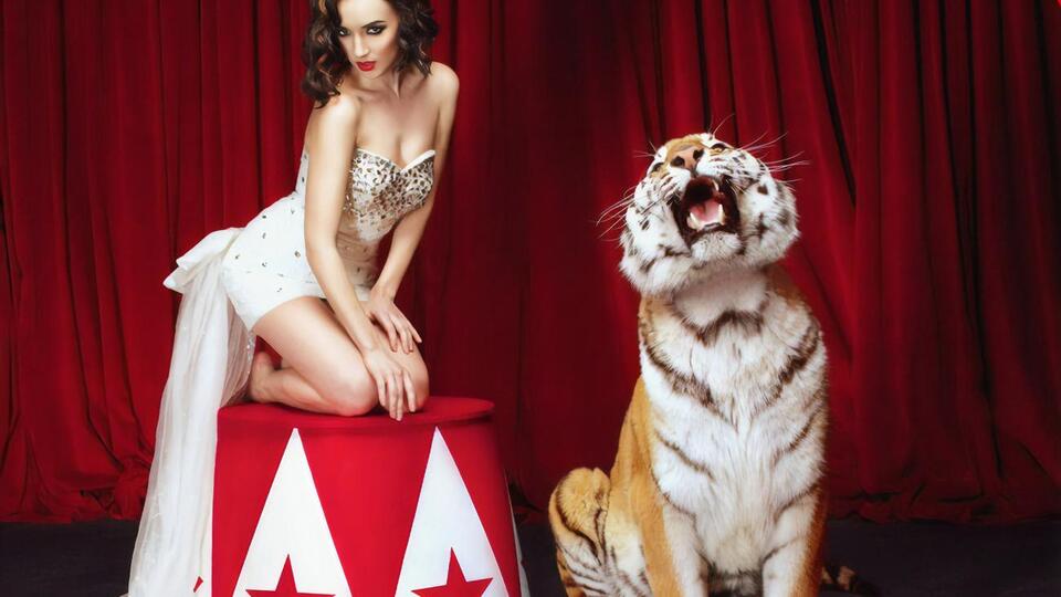 Сучасні цирки з ареною будують у різних країнах світу за певними стандартами