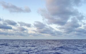 Судно с вероятными мигрантами затонуло у берегов Туниса