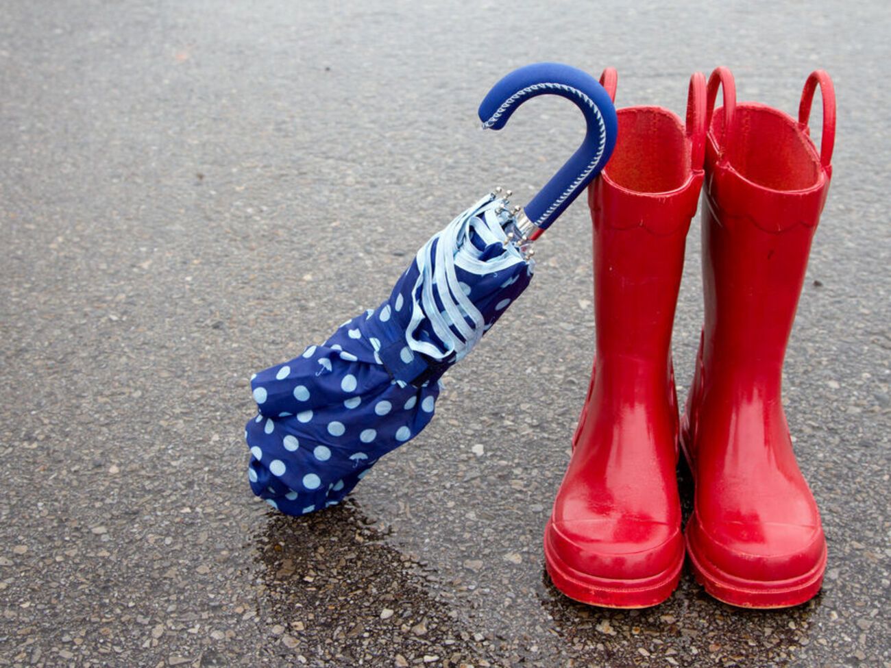 За прогнозом синоптиків, наступного тижня в Україні дощитиме