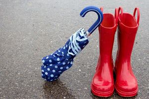 За прогнозом синоптиків, наступного тижня в Україні дощитиме
